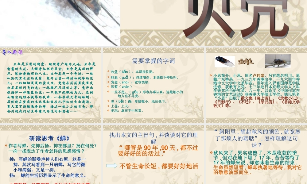 八年级语文(短文两篇)(蝉，贝壳) 课件