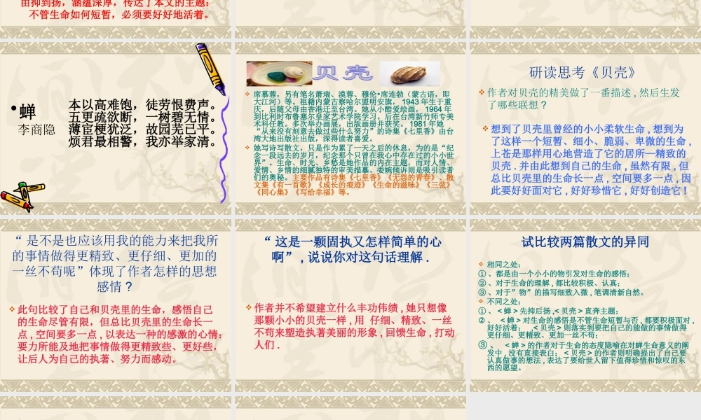 八年级语文(短文两篇)(蝉，贝壳) 课件