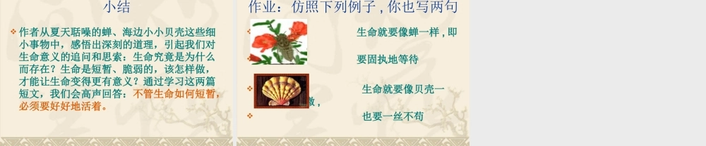 八年级语文(短文两篇)(蝉，贝壳) 课件