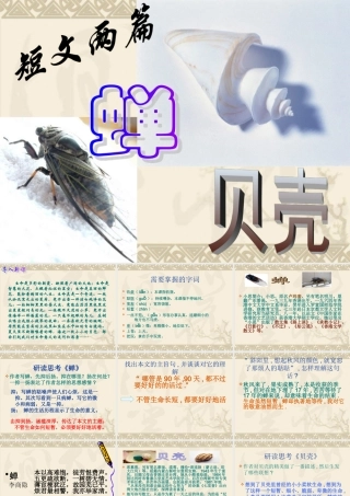 八年级语文(短文两篇)(蝉，贝壳) 课件