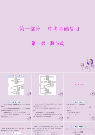 广东省中考数学复习 第一部分 中考基础复习 第一章 数与式 第1讲 实数课件