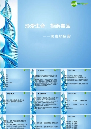 八年级生物下册 珍爱生命 拒绝毒品(二)课件 苏科版 课件