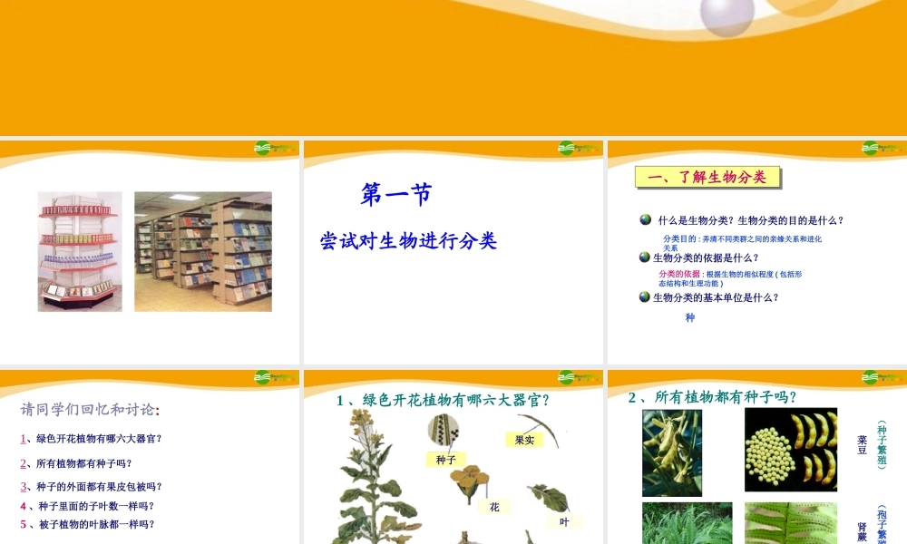 八年级生物上册 第一章根据生物的特征进行分类课件 人教新课标版 课件