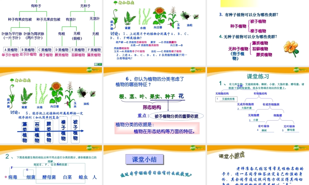 八年级生物上册 第一章根据生物的特征进行分类课件 人教新课标版 课件