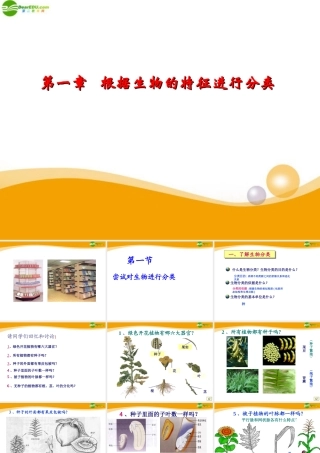 八年级生物上册 第一章根据生物的特征进行分类课件 人教新课标版 课件