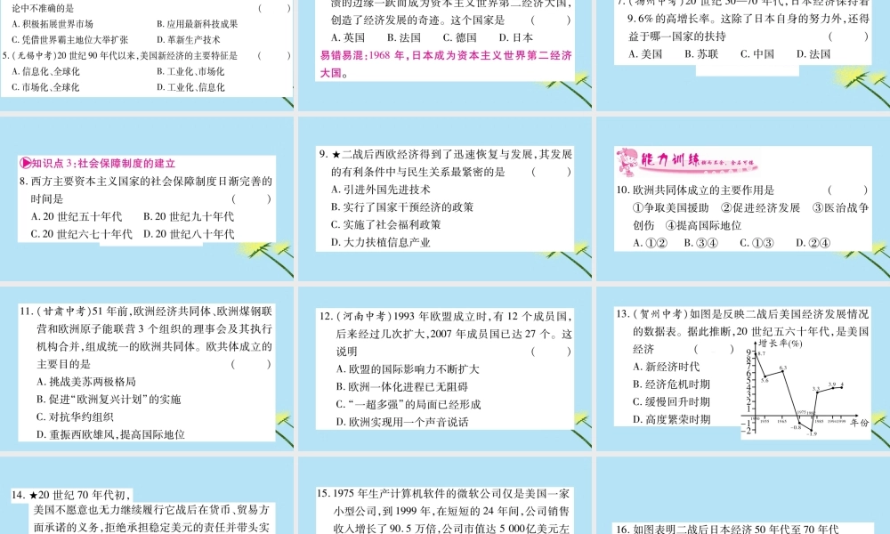 九年级历史下册 第五单元 冷战和美苏对峙的世界 第17课 战后资本主义的新变化习题课件 新人教版 课件