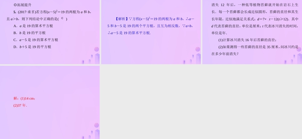 八年级数学上册 第二章 实数 2.2 平方根 第2课时 平方根的概念及其开平方运算习题课件 (新版)北师大版 课件