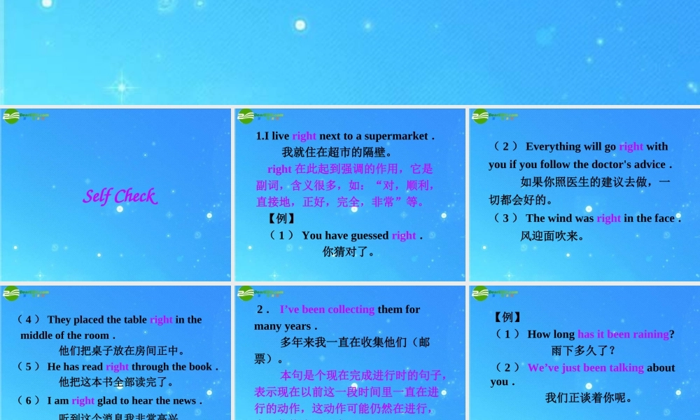 九年级英语 unit 11 selfcheck 课件 人教新目标版 课件