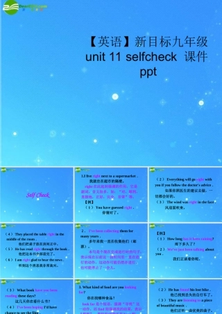 九年级英语 unit 11 selfcheck 课件 人教新目标版 课件