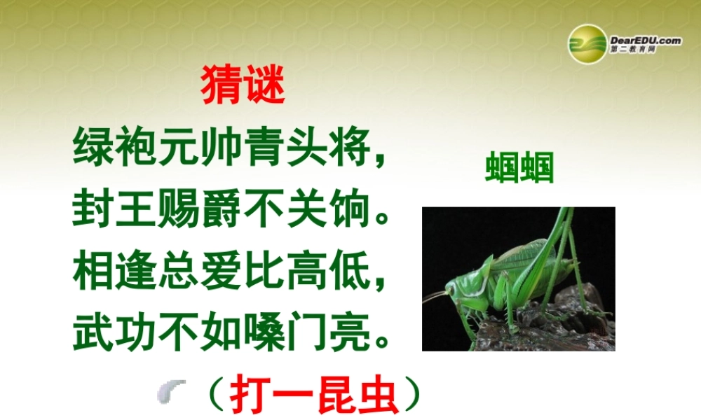 中学七年级语文上册 绿色蝈蝈课件 新人教版 课件