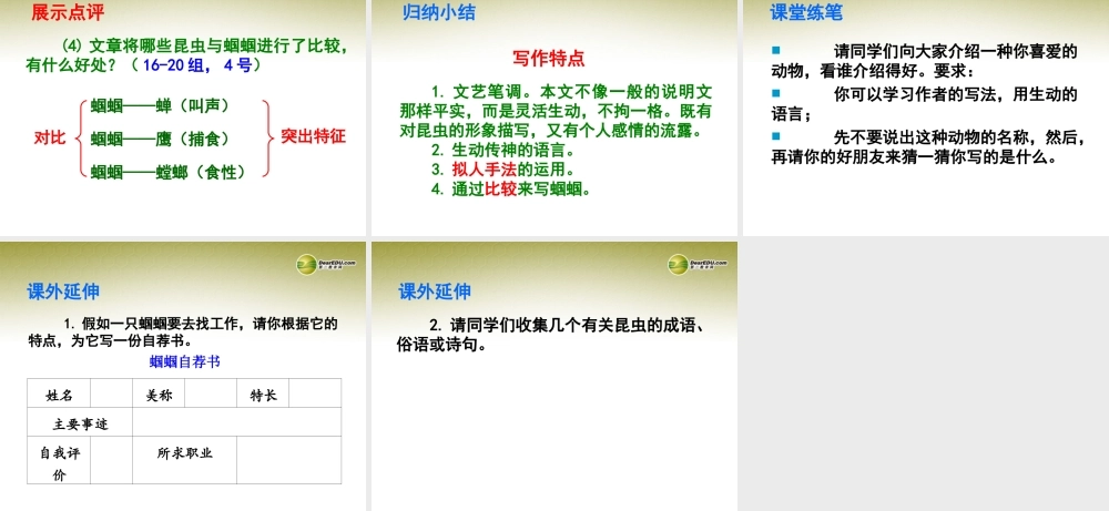 中学七年级语文上册 绿色蝈蝈课件 新人教版 课件