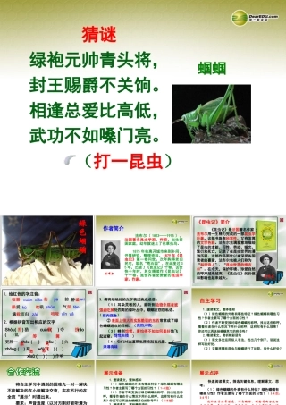 中学七年级语文上册 绿色蝈蝈课件 新人教版 课件