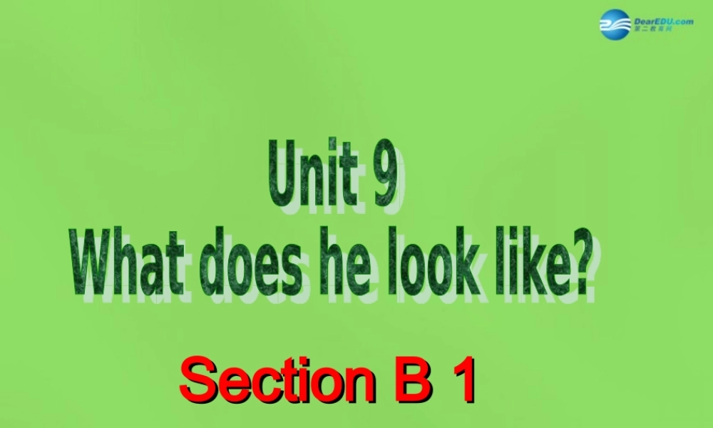 中学七年级英语下册 Unit 9 What does he look like Period 5课件 (新版)人教新目标版 课件