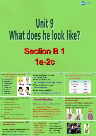 中学七年级英语下册 Unit 9 What does he look like Period 5课件 (新版)人教新目标版 课件