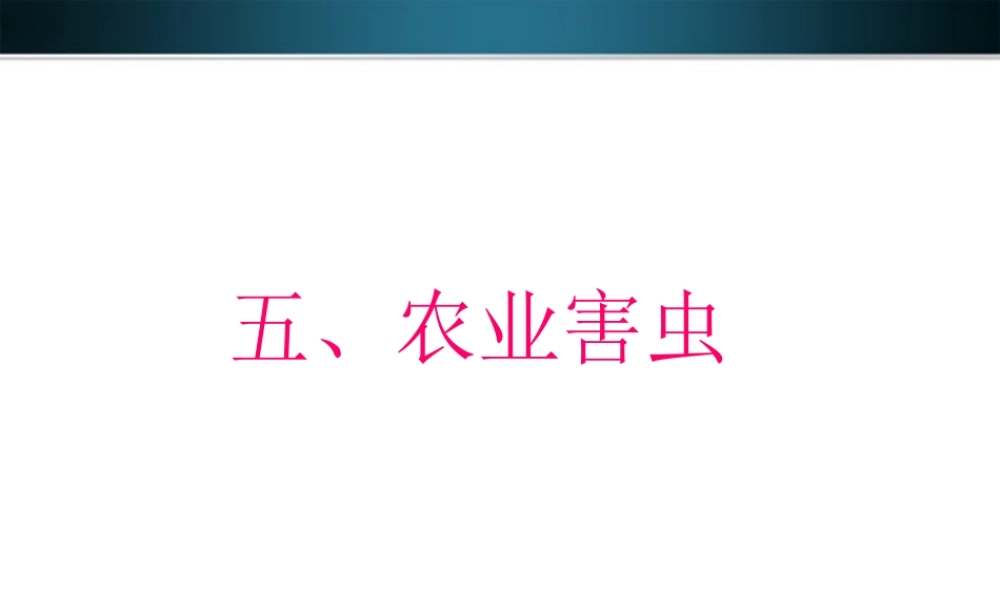 七年级生物上册 多种多样动物农业害虫课件 冀教版 课件