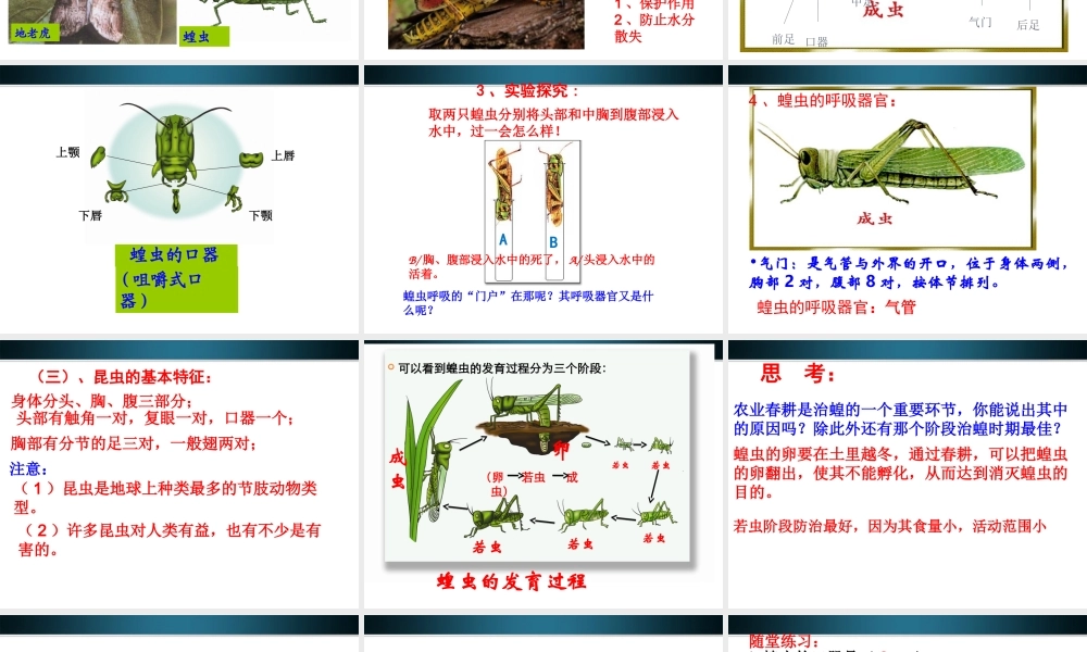 七年级生物上册 多种多样动物农业害虫课件 冀教版 课件