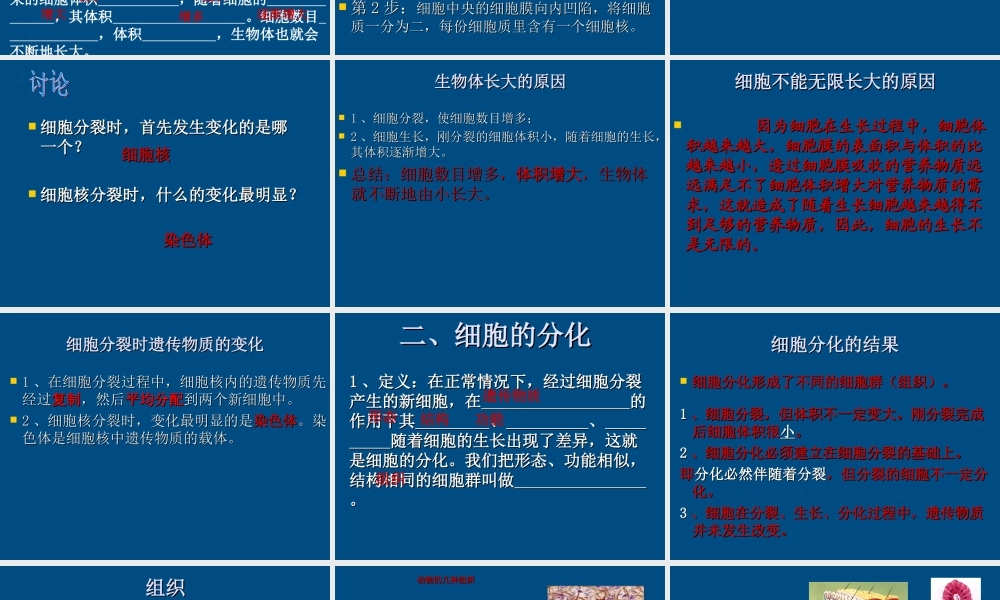 七年级生物上册 第一单元2.3细胞的分裂与分化课件 济南版 课件