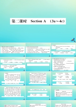 九年级英语全册 Unit 7 Teenagers should be allowed to choose their own clothes(第2课时)习题课件 (新版)人教新目标版 课件