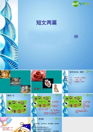 七年级语文下册 短文两篇之(蝉)课件 苏教版 课件