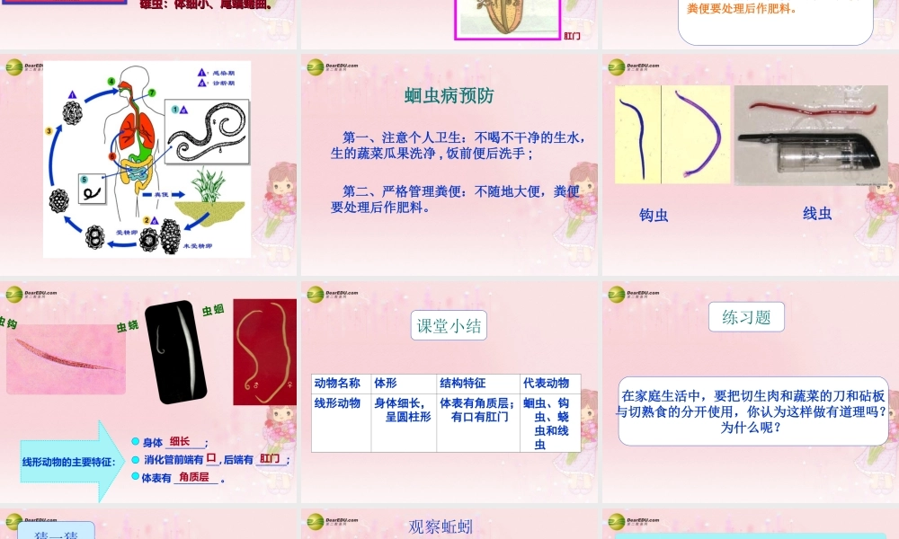 八年级生物上册 第五单元 第一章 第二节 线形动物和环节动物课件 新人教版 课件