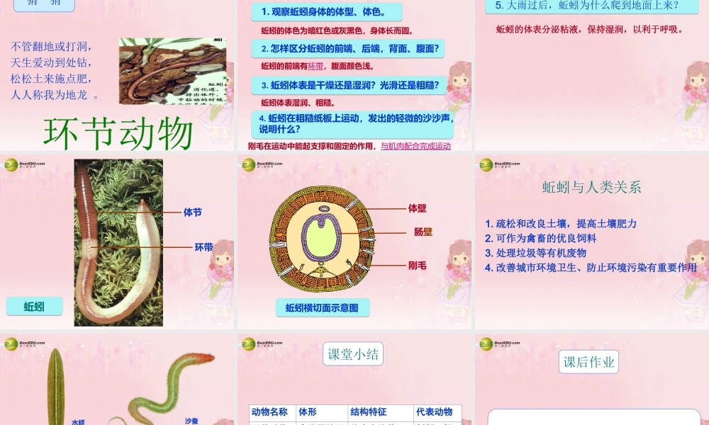 八年级生物上册 第五单元 第一章 第二节 线形动物和环节动物课件 新人教版 课件