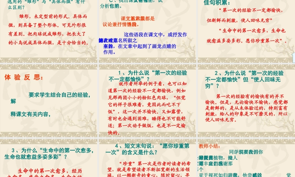 八年级语文第一次真好课件3 鄂教版 课件