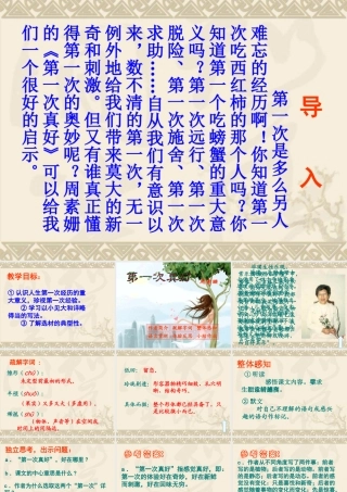 八年级语文第一次真好课件3 鄂教版 课件