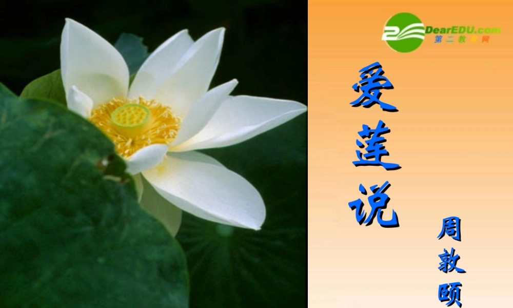 八年级语文上册第五单元第22课：(爱莲说)课件 人教新课标版 课件