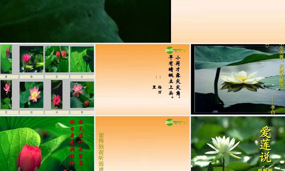 八年级语文上册第五单元第22课：(爱莲说)课件 人教新课标版 课件