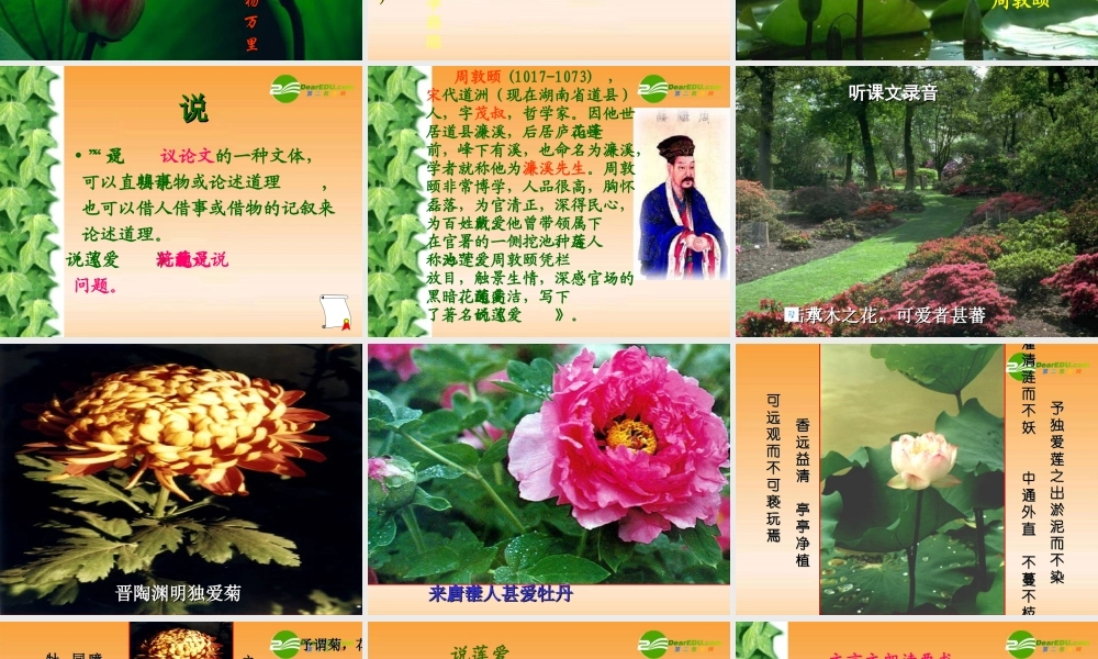 八年级语文上册第五单元第22课：(爱莲说)课件 人教新课标版 课件