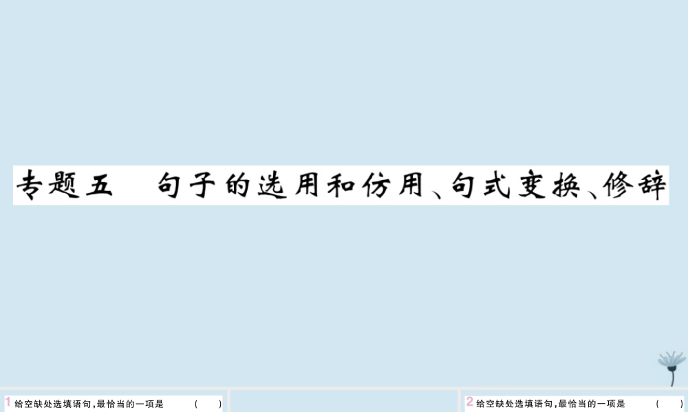 九年级语文上册 专题五 句子的选用和仿用、句式变换、修辞作业课件 新人教版 课件