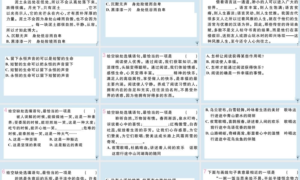 九年级语文上册 专题五 句子的选用和仿用、句式变换、修辞作业课件 新人教版 课件