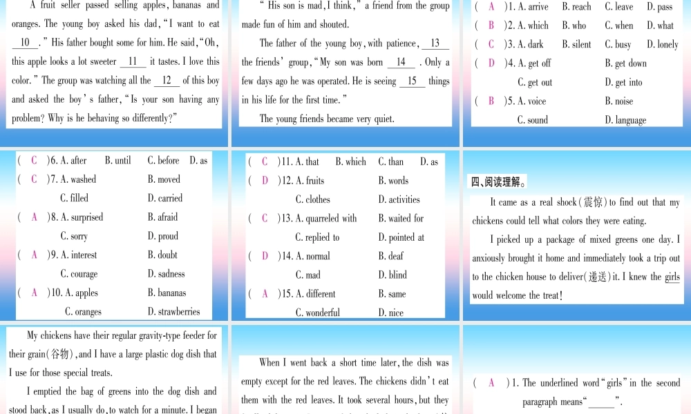 九年级英语全册 寒假作业 Unit 11 Sad movies make me cry课堂导练课件(含中考真题)(新版)人教新目标版 课件