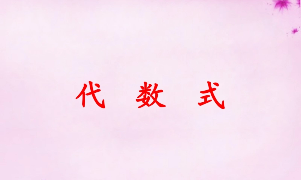 中学七年级数学上册 3.2 代数式课件 (新版)北师大版