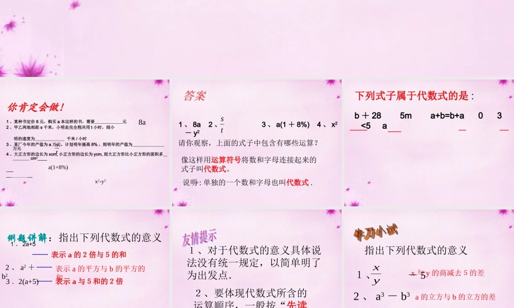 中学七年级数学上册 3.2 代数式课件 (新版)北师大版