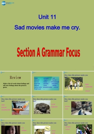 九年级英语全册 Unit 11 Sad movies make me cry Section A课件2 (新版)人教新目标版 课件