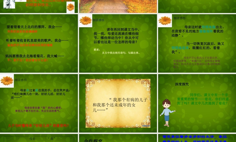 中学七年级语文上册 2 秋天的怀念课件 (新版)新人教版 课件