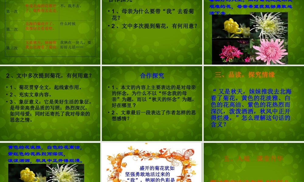 中学七年级语文上册 2 秋天的怀念课件 (新版)新人教版 课件