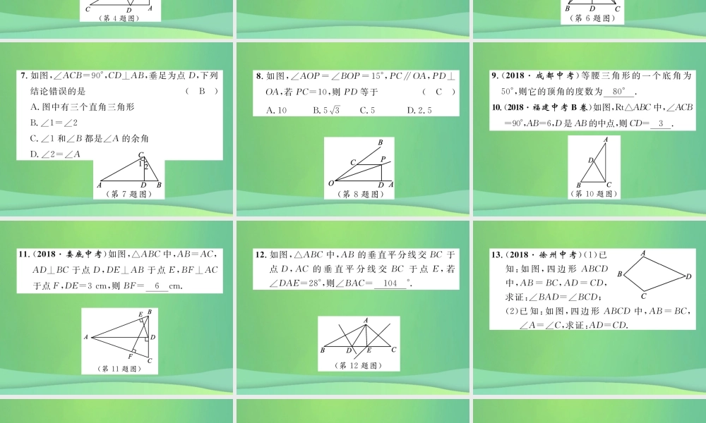 中考数学复习 第4章 图形的性质 第15课时 等腰三角形与直角三角形(精练)课件