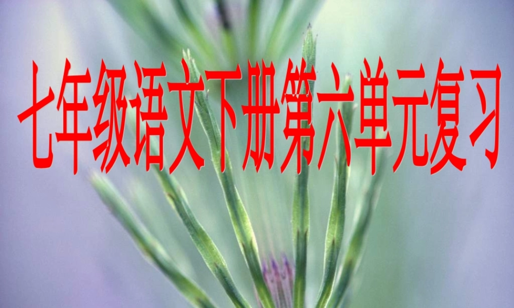 七年级语文下册 第六单元复习课件 人教新课标版 课件