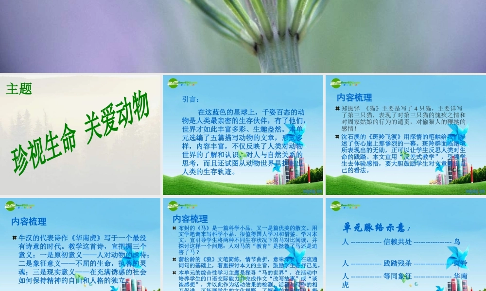 七年级语文下册 第六单元复习课件 人教新课标版 课件