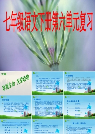 七年级语文下册 第六单元复习课件 人教新课标版 课件