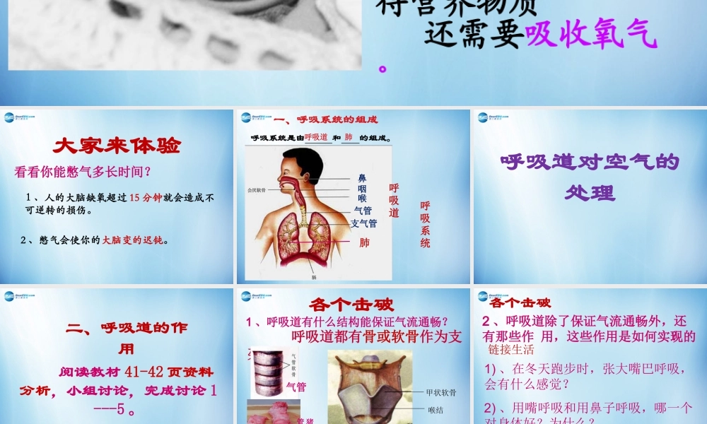 中学七年级生物下册 第三章 第一节 呼吸道对空气的处理课件 (新版)新人教版