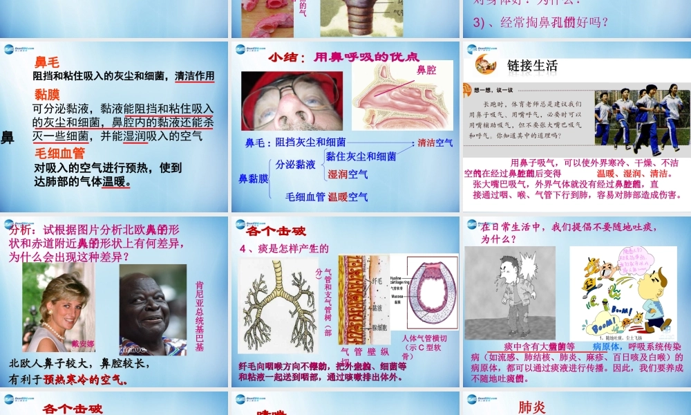 中学七年级生物下册 第三章 第一节 呼吸道对空气的处理课件 (新版)新人教版