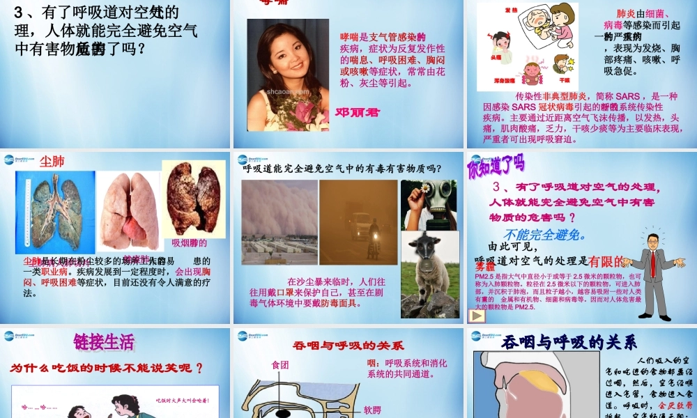 中学七年级生物下册 第三章 第一节 呼吸道对空气的处理课件 (新版)新人教版