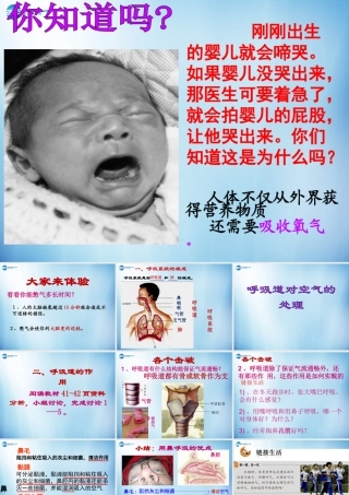 中学七年级生物下册 第三章 第一节 呼吸道对空气的处理课件 (新版)新人教版