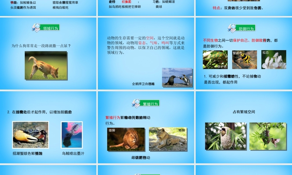 八年级生物上册 第16章 第2节(动物行为的主要类型)课件1 北师大版 课件