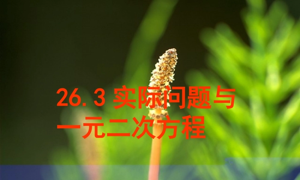 九年级数学下册：263 实际问题与一元二次方程 课件新人教版 课件
