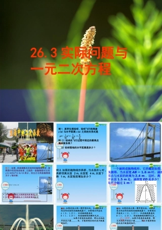 九年级数学下册：263 实际问题与一元二次方程 课件新人教版 课件