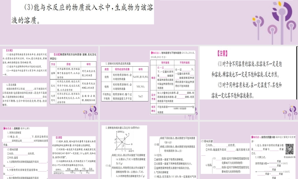 云南省中考化学一轮考点复习 第九单元 溶液课件